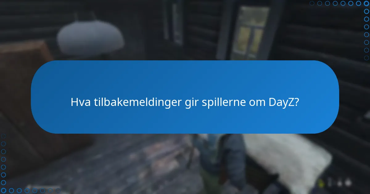 Hvordan sammenlignes verdien av DayZ med prisen på Steam Key?